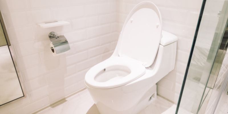 Como Desentupir Vaso Sanitário Que Caiu Objeto Dentro em Londrina: 4 Técnicas